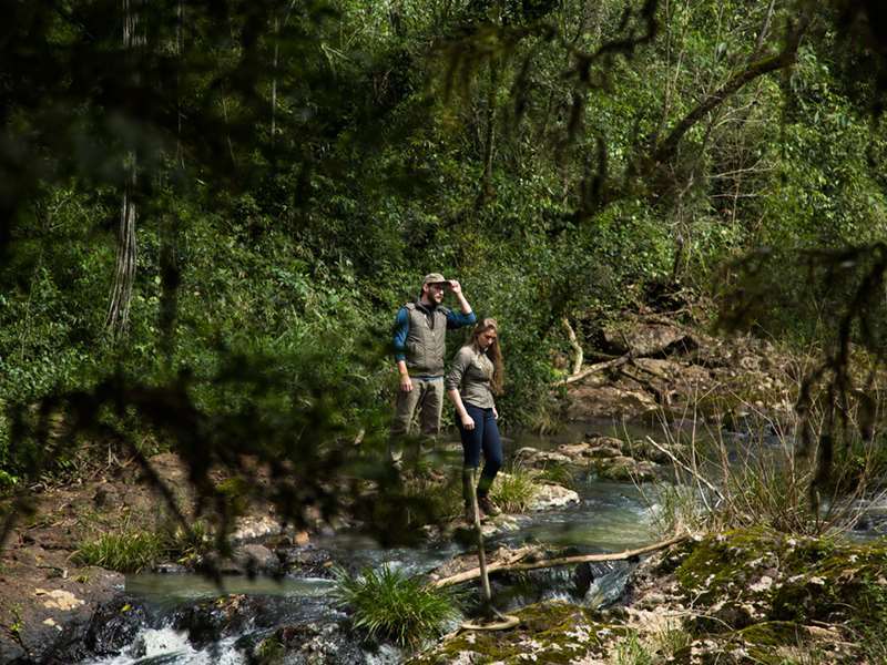Saltos del Moconá Mocona Virgin Lodge שירותים תמונה